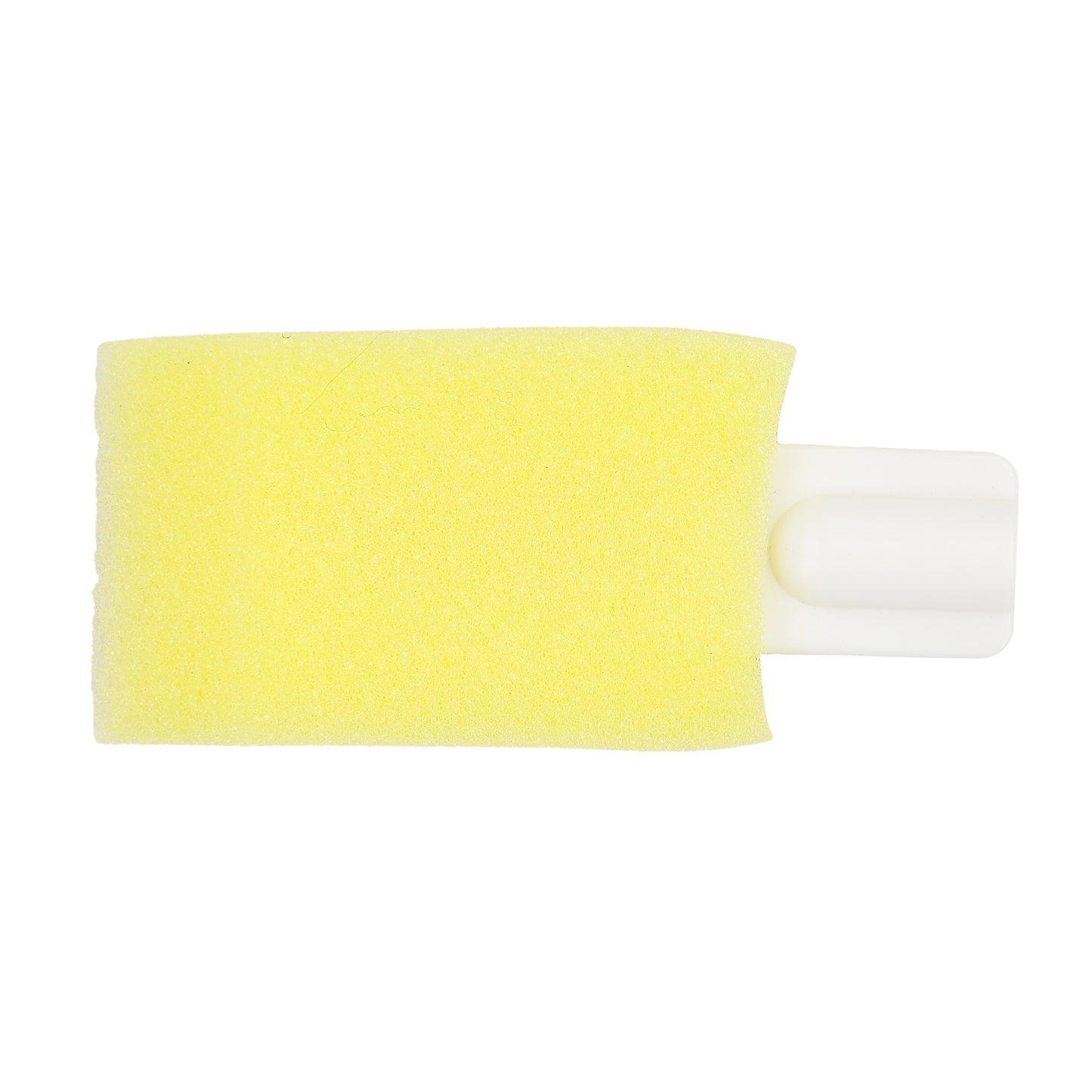 Long Handled Foot Sponge 