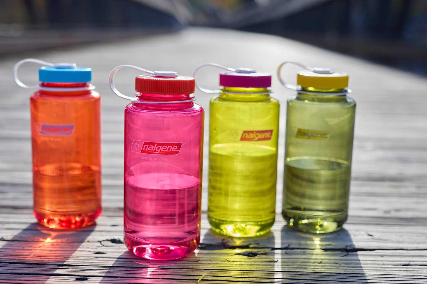16oz Wide Mouth Bottle - Thrill & Motion